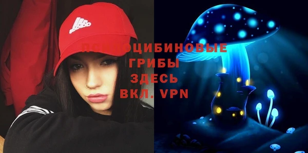 тгк Алзамай